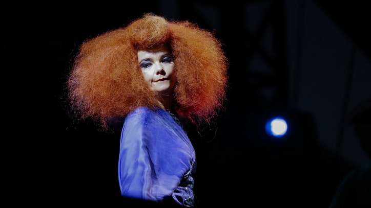 Bjork's 'Biophilia' Heading to European Classrooms
