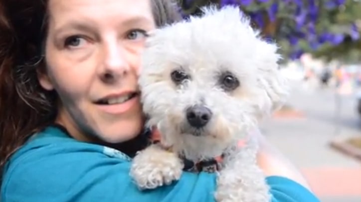 Neko Case Aims to Save Shelter Animals