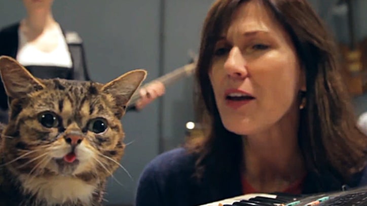 Kelley Deal Collaborates With Lil Bub on New Single, 'Shirtcrush'