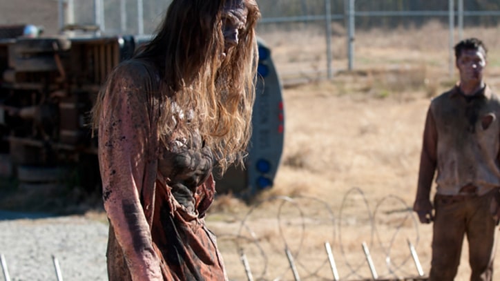 New View of the Zombie Apocalypse Heading to TV