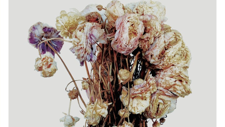 Sleater-Kinney's Sizzling Return, Belle And Sebastian's Smooth Move & More