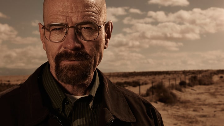 Walter White Sentenced to 12 Years in Jail