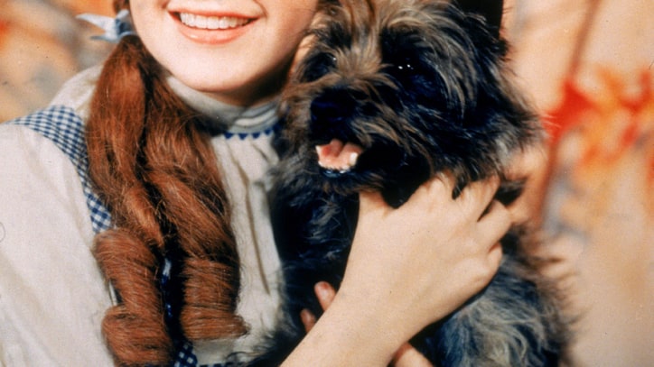 Judy Garland's Children Will Reunite for 'Wizard of Oz' Tribute