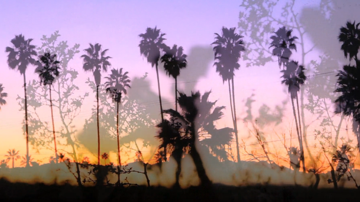 Best Coast Detail New Album, Celebrate 'California Nights' in Hazy Video