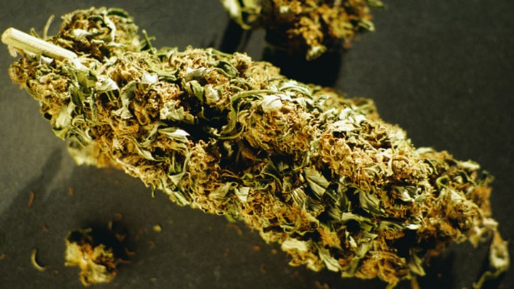 Colorado, Washington Vote to Legalize Marijuana