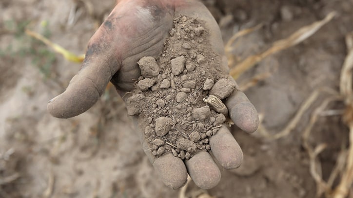 Don't Ignore the Drought