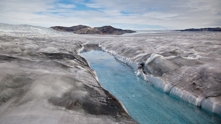 A Call to Arms: An Invitation to Demand Action on Climate Change