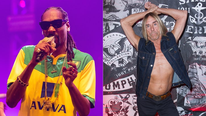 No Doubt, Iggy Pop, Snoop Dogg Lead Chicago's Riot Fest