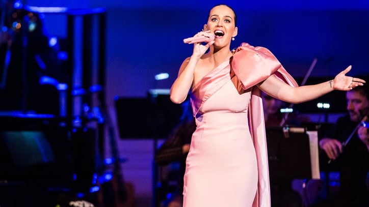 Katy Perry, Sting Stun at David Lynch's Meditation Benefit Concert