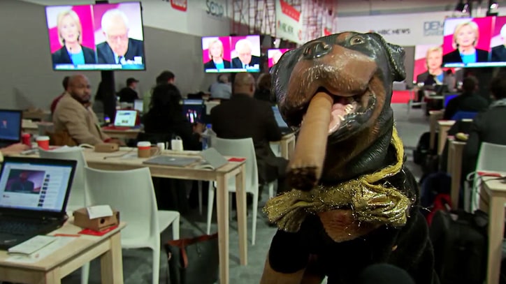 Watch Triumph the Insult Comic Dog Grill DNC Head About Debate Schedule