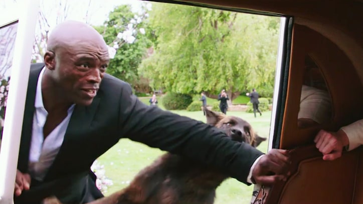 Watch Seal Fight Off Wolves in Exclusive 'Popstar' Clip