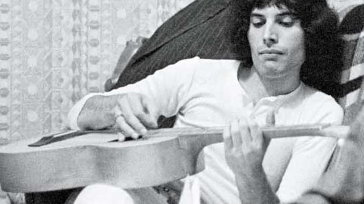 Freddie Mercury: His Life in Pictures