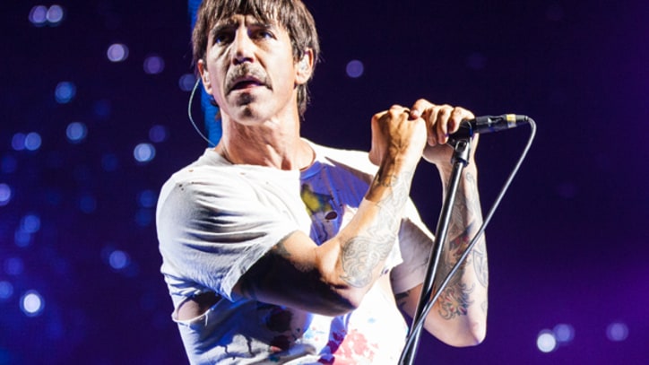 Firefly Festival 2013