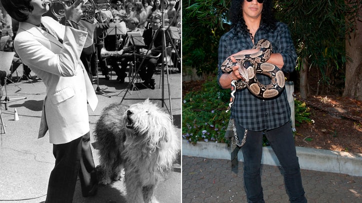 Wild Things: 11 Pets That Influenced Rock and Pop