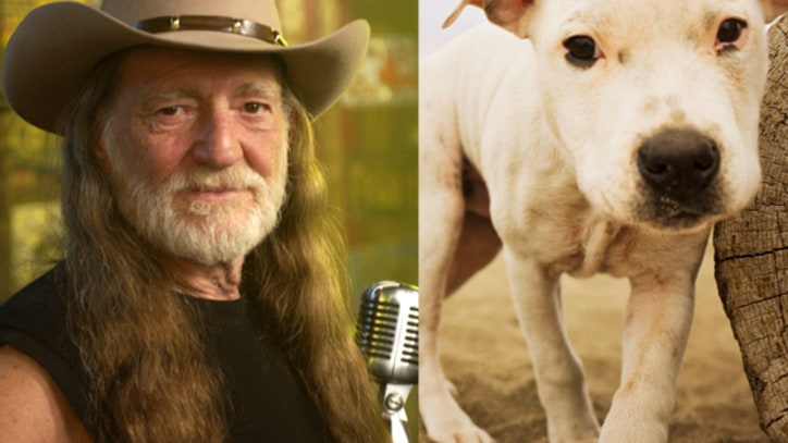 Willie Nelson Fights Discrimination – Against Dogs