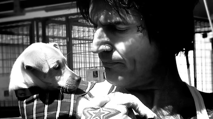 Tommy Lee Speaks Up for Animal Adoption