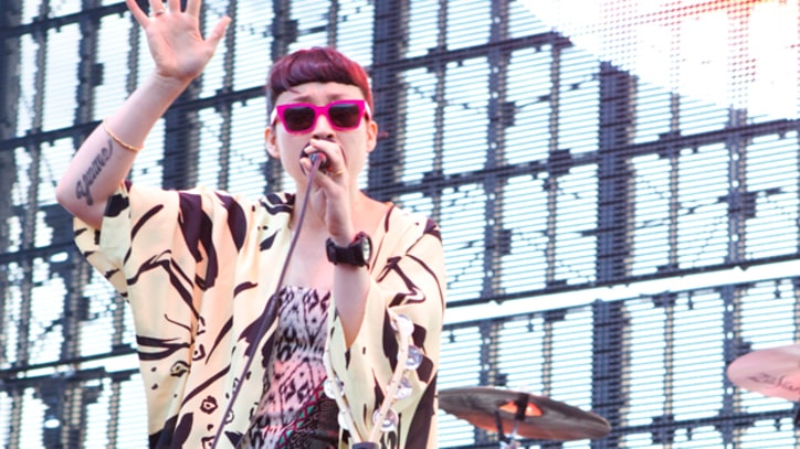 Little Dragon Talk Big Boi Collaboration and Opening for the Chili Peppers
