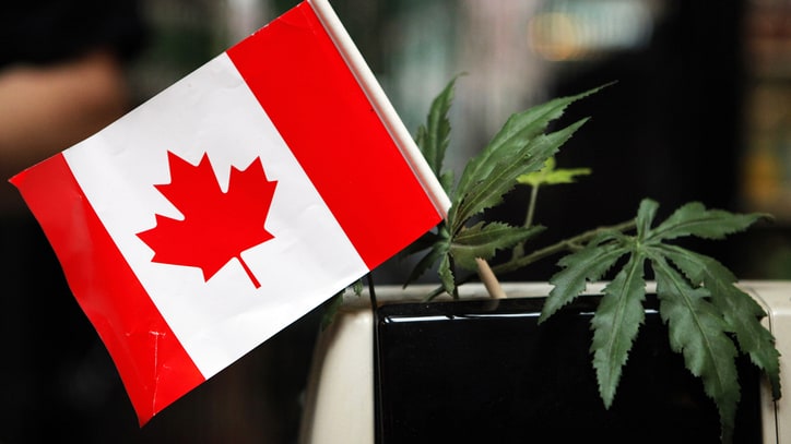 Trudeau Proposes Bill to Legalize Recreational Marijuana Use in Canada