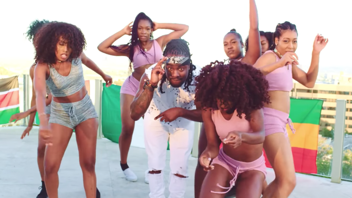 Watch Wale's Buoyant New 'Fine Girl' Video