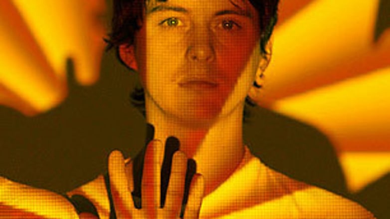 Animal Collective