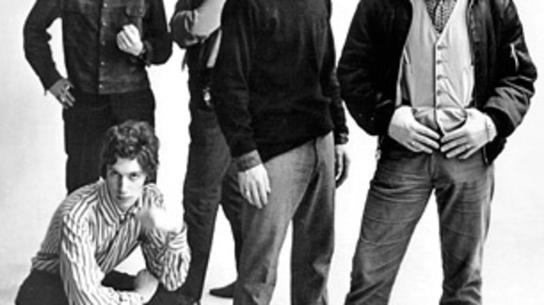 The Animals