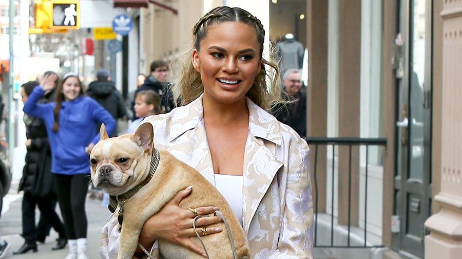 Chrissy Teigen and John Legend Celebrate Baby Shower in NYC: Photos