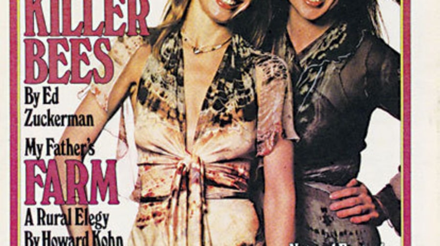 Heart | Pop Divas on the Cover of Rolling Stone | Rolling Stone