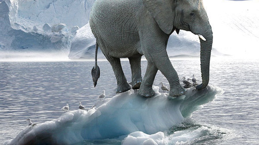 AGAINST US NEARLY HALF OF GOP FRESHMAN DON'T BELIEVE IN GLOBAL WARMING