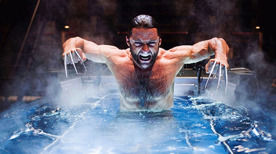 Wolverine