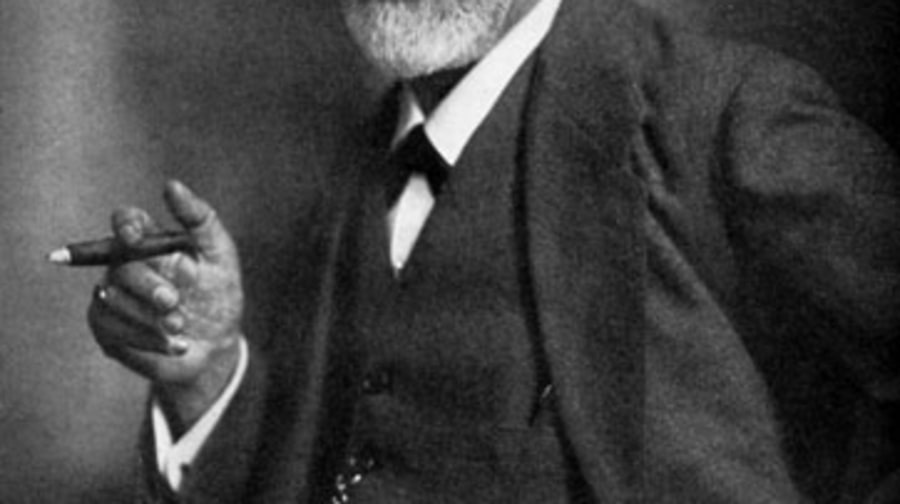 The Failed Historian