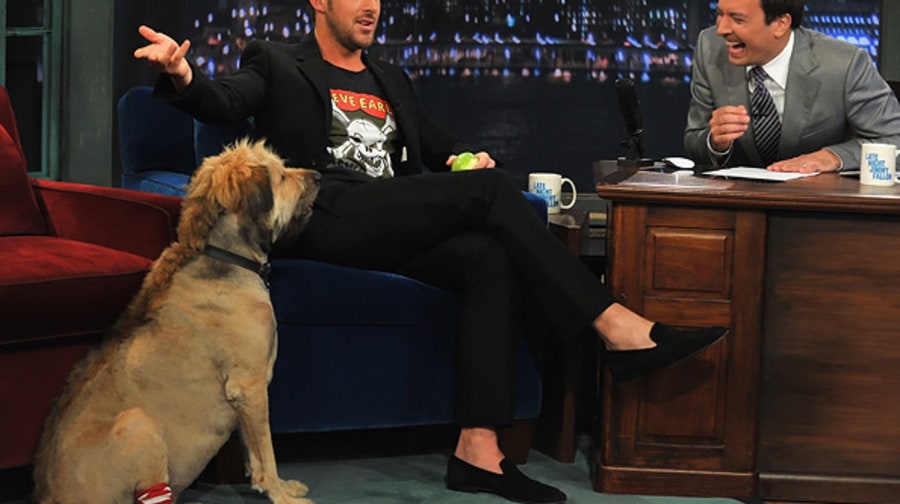 'Late Night with Jimmy Fallon'