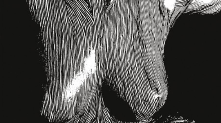 Oceansize, 'Self Preserved While the Bodies Float Up'