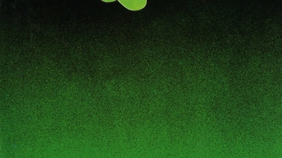 3. Yes - 'Close to the Edge'