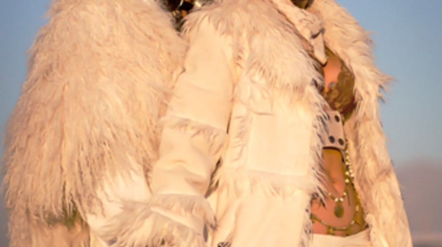Furry Foxes