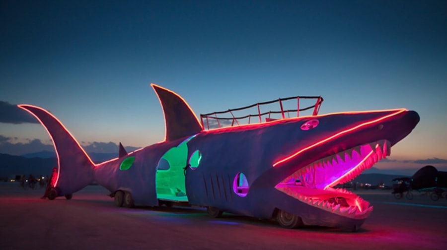 The Shark Car