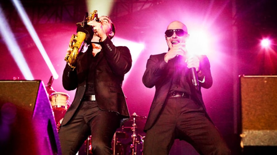 Pitbull