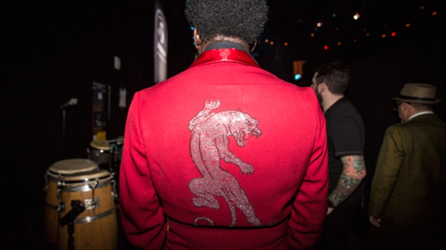 A Panther's Howl