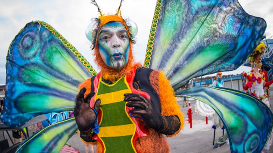 Electric Daisy Carnival