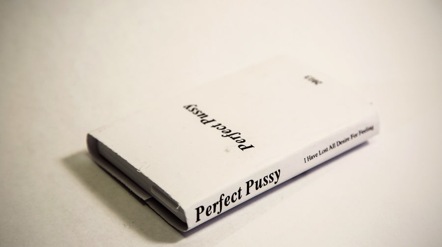 1. Perfect Pussy, 'I Have Lost All Desire for Feeling'