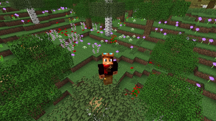 6. Minecraft