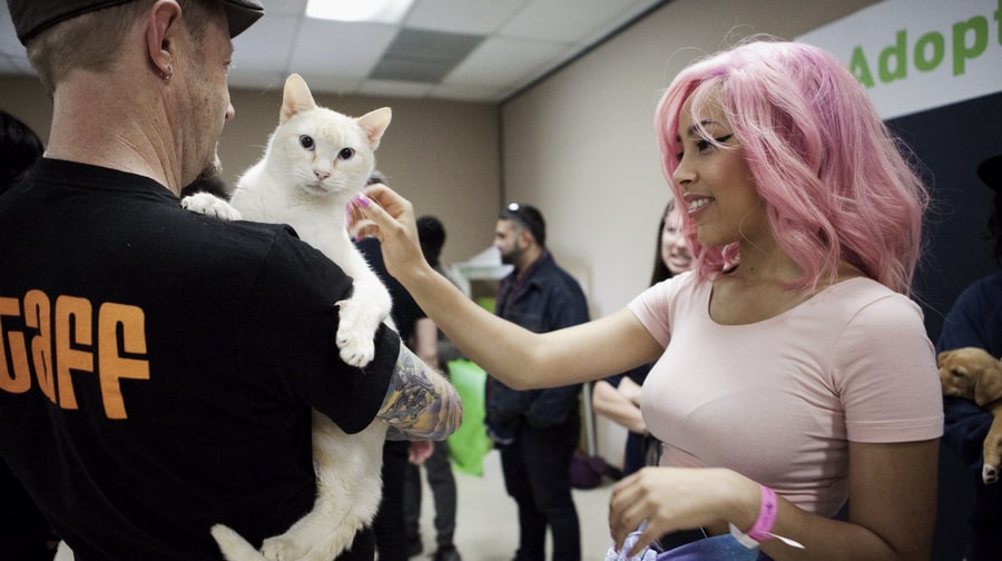 Doja Cat