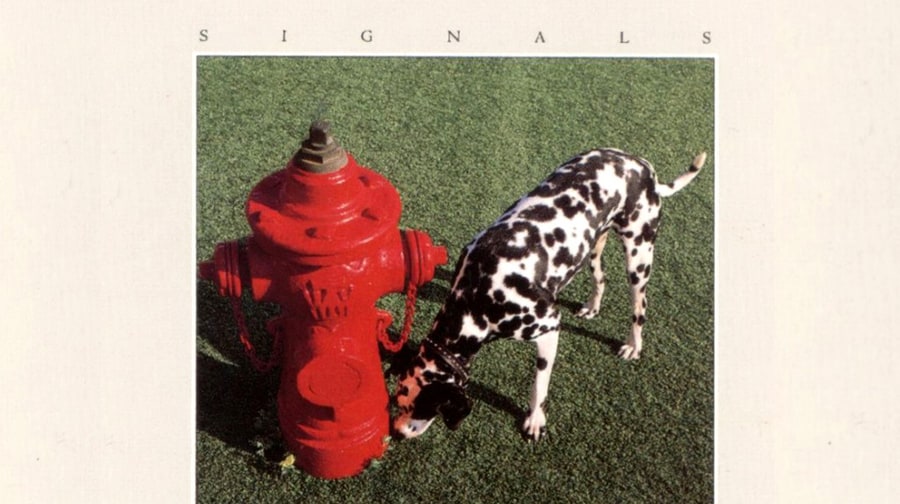 'Signals'