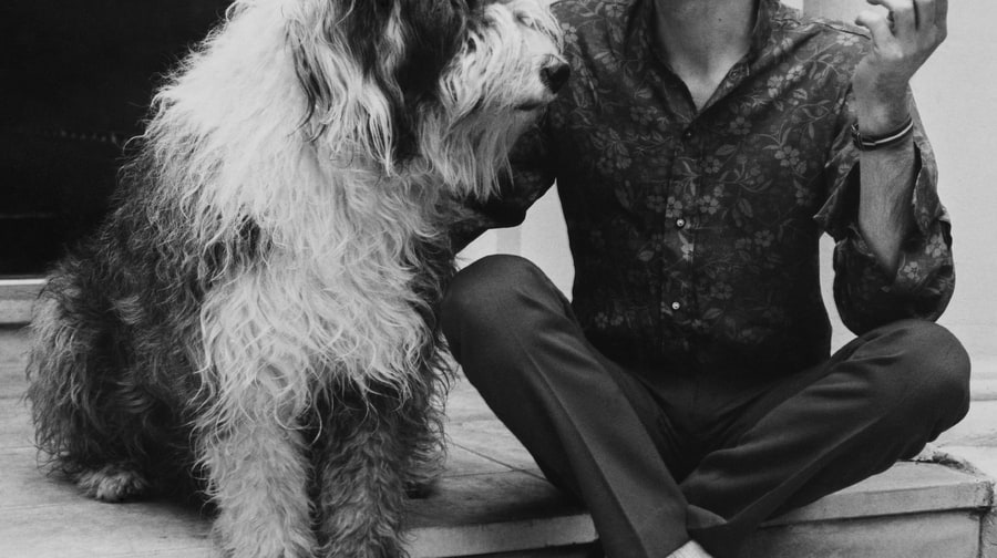 Martha (Paul McCartney)
