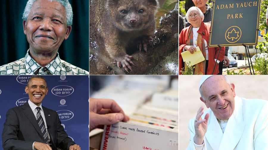 65 Signs That 2013 Wasn't the Worst