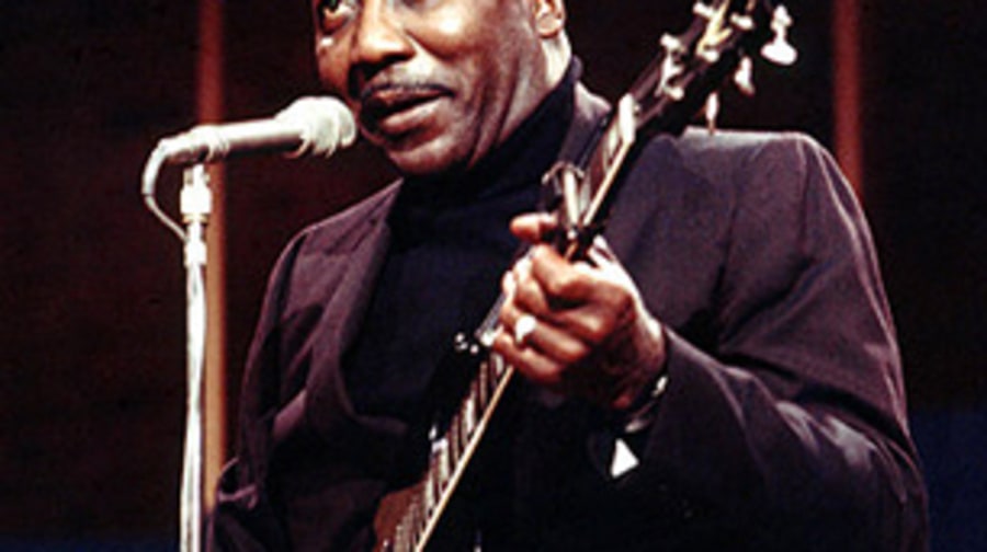 Muddy Waters
