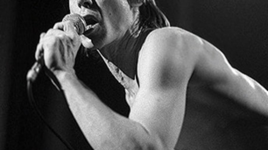 Iggy Pop