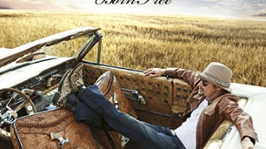 Kid Rock, 'Born Free'