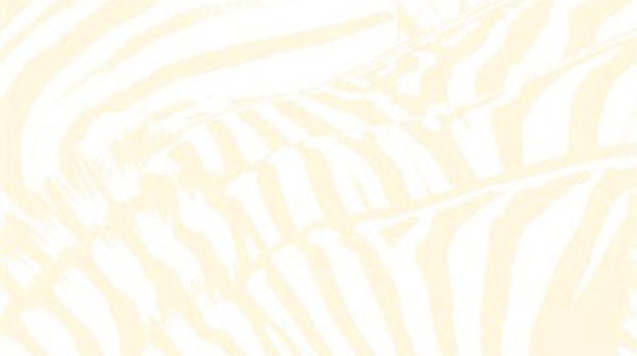 Beach House, 'Teen Dream'