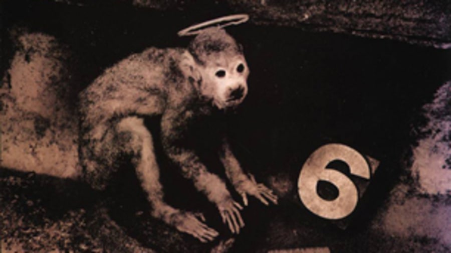 Pixies, 'Monkey Gone to Heaven'