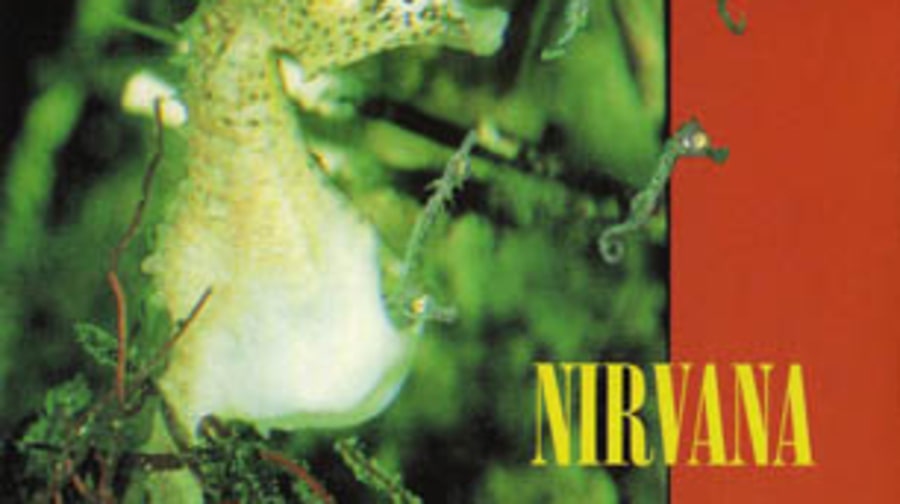 Nirvana, 'All Apologies'